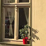 Ferienwohnung Kamp Blick ins Grüne
